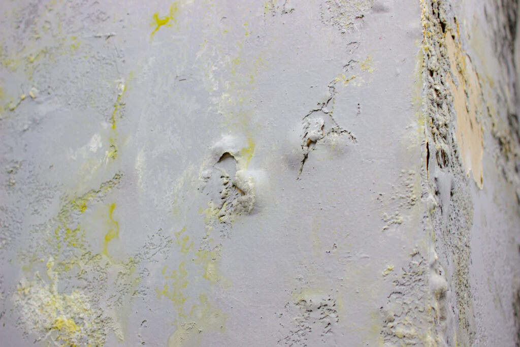 Pared de una casa con moho afectada por la humedad.