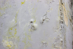 Pintar una casa después de una inundación o filtración grave